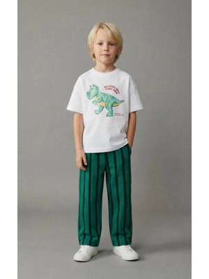 Lucco Çizgili Pantolonu Dinazor Baskılı Tshirt ile Ikili Takım