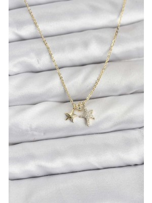 Clariss Pirinç Gold Renk Yıldız Minimal Kadın Kolye