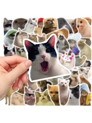 Neva Prime  Çılgın Kediler Macbook Notebook Tablet Telefon Ajanda Laptop Defter Sticker Seti