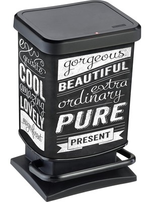 Braventa Collection Rotho Paso Çöp Kovası 20 L, Koku Geçirmez Kapaklı, Plastik (Pp), Hipster, 20 Litre (29,3 x 26,6 x 45