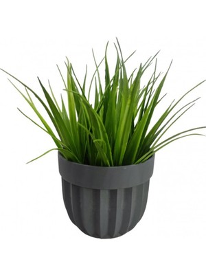 Ne Verelim Size Çizgili Saksı Sazlı Çiçek ROYALEKS-5782