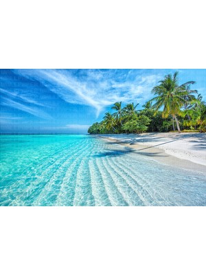 Tropik Kumsal Poster Duvar Kağıdı