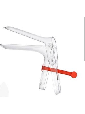 Kuzgun Ticaret Speklum Küçük - Lisinya