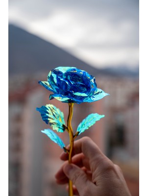 PremiumPort Renk Değiştiren Sonsuzluk Gülü, Sevgiliye Özel Hediye, Renkli Gül