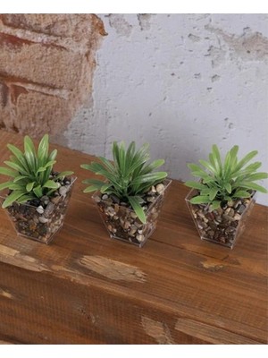 PremiumPort 3’lü Çakıl Saksıda Banyo Yeşillikleri, Yapay Çiçekler, 6X10CM