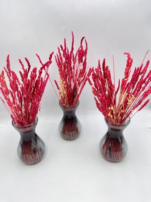 PremiumPort Şeffaf Vazoda 3'lü Doğal Kuru Çiçek Seti