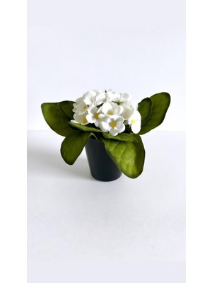 PremiumPort Beyaz Yapay Menekşe Siyah Cam Saksıda, Şık ve Doğal Görünümlü Dekoratif Bitki