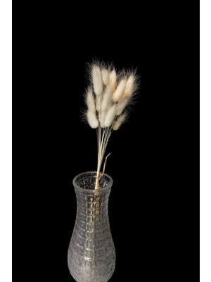 PremiumPort Beyaz Doğal Tavşan Kuyruğu Otu Buketi, 15 Dal, Şık ve Zarif Dekorasyon