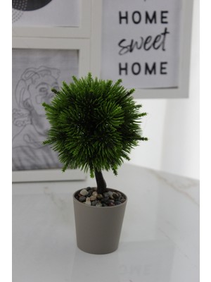 PremiumPort Sevimli Minik Top Ağaç Dekoratif Çiçek, Şık ve Renkli Tasarım