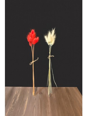 PremiumPort Doğal Kurutulmuş Tavşan Kuyruğu Otu Buketi, 2 Demet, 10'lu Dallı, Çift Renkli