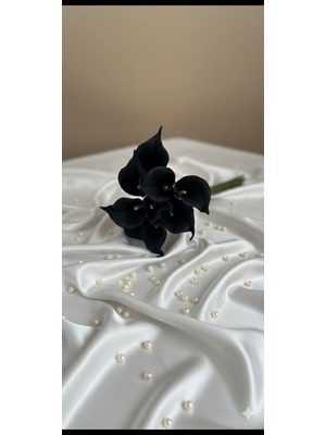 PremiumPort 8'li Siyah Gala Ev Vazo Dekor Seti, Şık ve Zarif Ev Dekoru