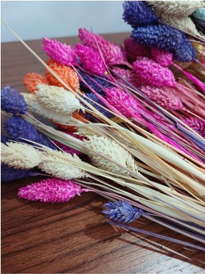 PremiumPort Kurutulmuş Kuş Otu Çiçek Aranjmanı, Süslü ve Zarif Dekorasyon Ürünü