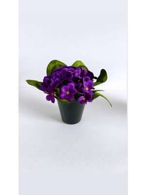 PremiumPort Mor Menekşe Siyah Cam Saksı, Şık ve Dayanıklı Dekoratif Saksı