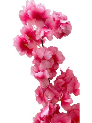 PremiumPort Japon Kiraz Çiçeği Kozmetik Seti, Doğal ve Ferahlatıcı Parfüm