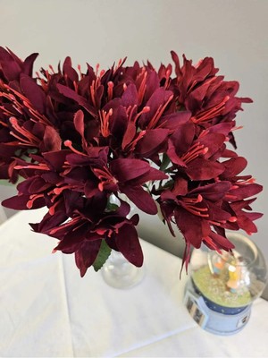 PremiumPort Renkli 5 Dalli Bordo Çan Çiçeği El Buketi ve Vazo Dekorasyonu