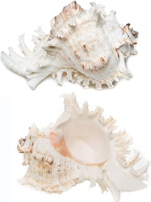 PremiumPort Şık ve Kullanışlı 3'lü Ürün Seti, Stilinizi Tamamlar, Pratik Çözüm Sunar