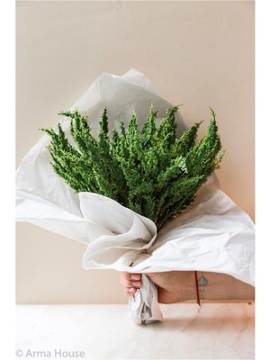 PremiumPort Canlı Yeşil Yapay Çiçek Demetleri, Dekoratif ve Uzun Ömürlü