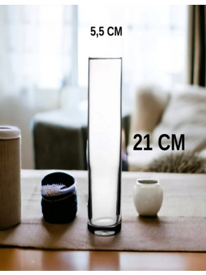 PremiumPort Şeffaf Silindir Cam Vazo, Uzun ve Zarif Bambu Dekoru