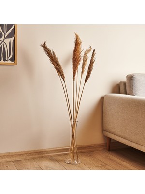 PremiumPort Şeffaf Cam Vazo, Fil Ayağı Tasarımı, Dekoratif, 40 cm