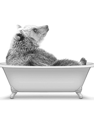 PremiumPort Şık Siyah Beyaz Hayvan Temalı Ahşap Duvar Dekoru