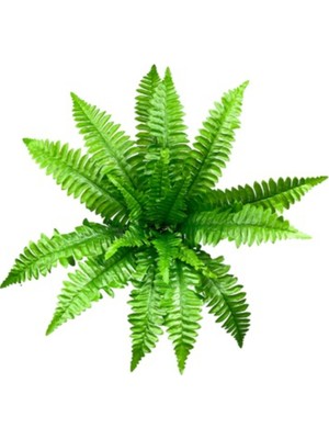 PremiumPort Rüzgar Yapay Çiçekçilik Aşk Merdiveni, Şık ve Zarif Dekorasyon Ürünü