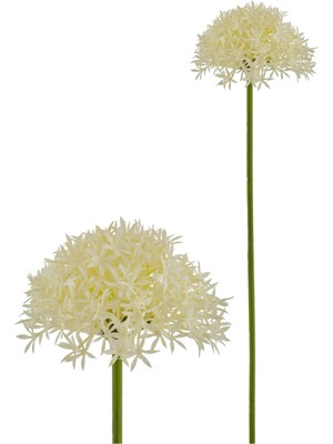 PremiumPort Lavanta Kokulu Yumuşak ve Güzel Krem, Cilt Bakımına Işıltı Katıyor