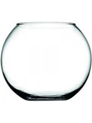 PremiumPort Mini Cam Fanus, Şeffaf ve Zarif Dekoratif Süs Eşyası