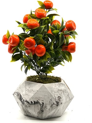 PremiumPort Mermer Desenli Geometrik Beton Saksı Mandalina Ağacı 35CM
