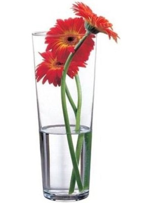 PremiumPort Şeffaf Cam Vazo, Zarif ve Şık Dekorasyon Unsuru