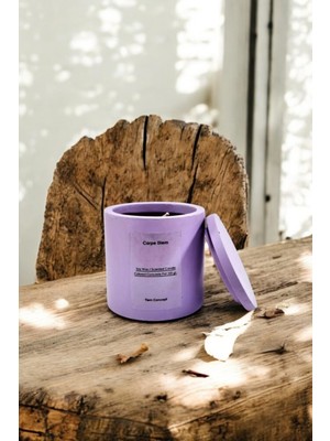 PremiumPort Lavanta Kokulu Lila Beton Saksılı Kapaklı Soya Mum, Dekoratif ve Aromatik