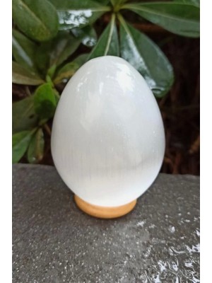 PremiumPort Parlak Beyaz Selenit Yumurta, Doğal ve Şık Dekorasyon Parçası