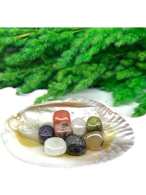 PremiumPort Doğal Taş Aşk ve Sevgi Seti, Istiridye Kase ile Tamamlanmış