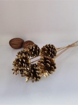 PremiumPort Altı Adet Gold Renkli Dekoratif Kozalaklar, Çıbıklı ve Vazoluk Kozalaklar