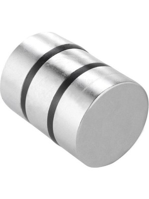 PremiumPort Çok Güçlü Yuvarlak Neodyum Mıknatıs 2’li Set Ø30X10 mm