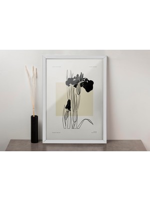 PremiumPort Modern Bohem Tarz Tekli Duvar Sanatı, Dekoratif Çerçeveli Tasarım