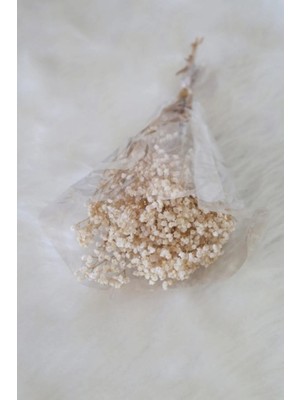 PremiumPort Renkli ve Kaliteli Kuru Çiçek Dekoratif Aranjman Seti