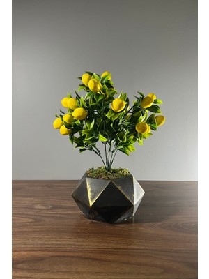 PremiumPort Geometrik Beton Saksıda Limon Ağacı 35CM, Şık ve Estetik Dekorasyon