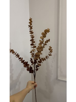 PremiumPort Yapay Kahverengi Okaliptus, Islak Doku, Canlı ve Şık Bitki Desteği