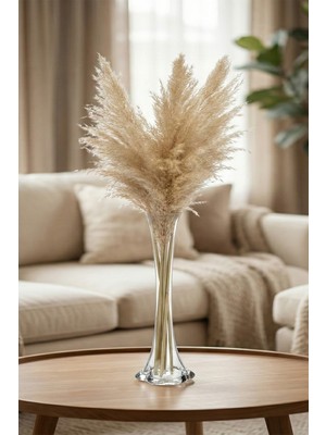 PremiumPort 40 cm Uzun Şeffaf Cam Vazo, Şık Dekorasyon Aksesuarı