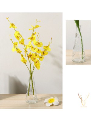 PremiumPort Şeffaf Polka Tasarımlı Modern Vazo, Zarif Dekorasyon Parçası