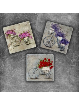 PremiumPort Doğal Taş Magnet Seti – Şık ve Enerji Dolu Takı Aksesuarı