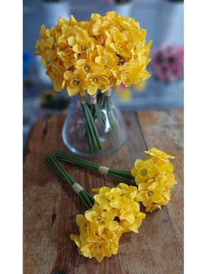 PremiumPort Canlı Görünümlü 2'li Nergis Çiçeği Demeti, Dekorasyon Için Şık Seçenek