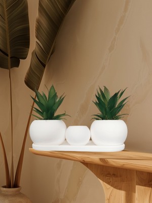 PremiumPort Yapay Sukulent ve Kaktüs Seti ile Şık Beton Saksı ve Mumlukler