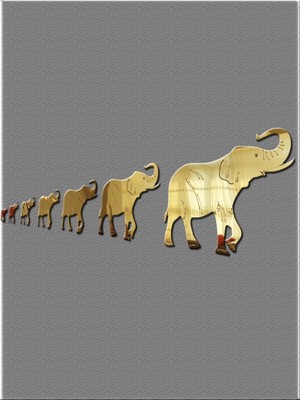 PremiumPort 7'li Bereket Fil Seti Gold Ayna Pleksi Dekoratif, Şık ve Göz Alıcı Tasarım