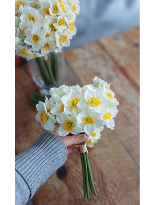 PremiumPort Canlı Görünümlü Nergis Çiçeği Demeti, Dekoratif ve Şık Tasarım