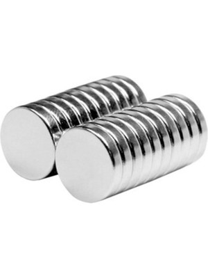 PremiumPort Neodyum Mıknatıs Silindir D10X2 mm 40'lı Paket