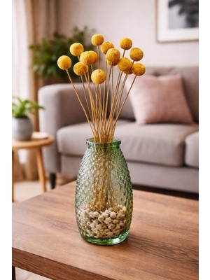 PremiumPort Şoklanmış Kuru Çiçek Craspedia 18-20 Dal, Dayanıklı ve Şık Dekorasyon