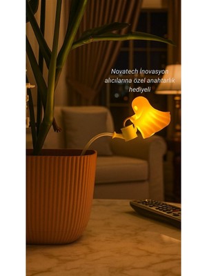 PremiumPort Hayalet Dekoru, Pilli Mumla Kullanım, Saksı ve Ev Dekorasyonu