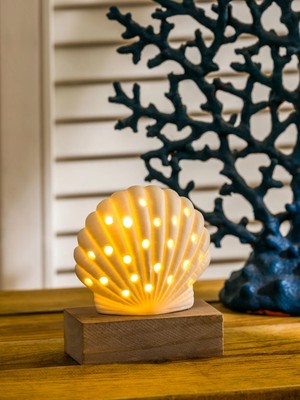 PremiumPort Beyaz Deniz Kabuğu Figürlü Dekoratif Işık, 10 Cm, Şık ve Şık Tasarım