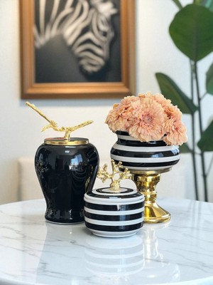 PremiumPort Şık Siyah Zebra Ayaklı Saksı ve Gold Kutu ile Dekoratif Salon Seti